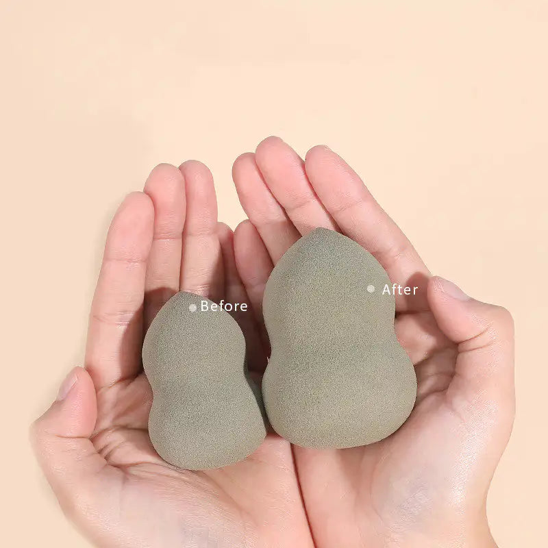 Beauty Egg Sponge